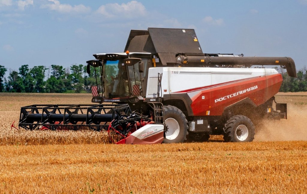 Урожайность зерновых в Алтайском крае выше, чем в прошлом году