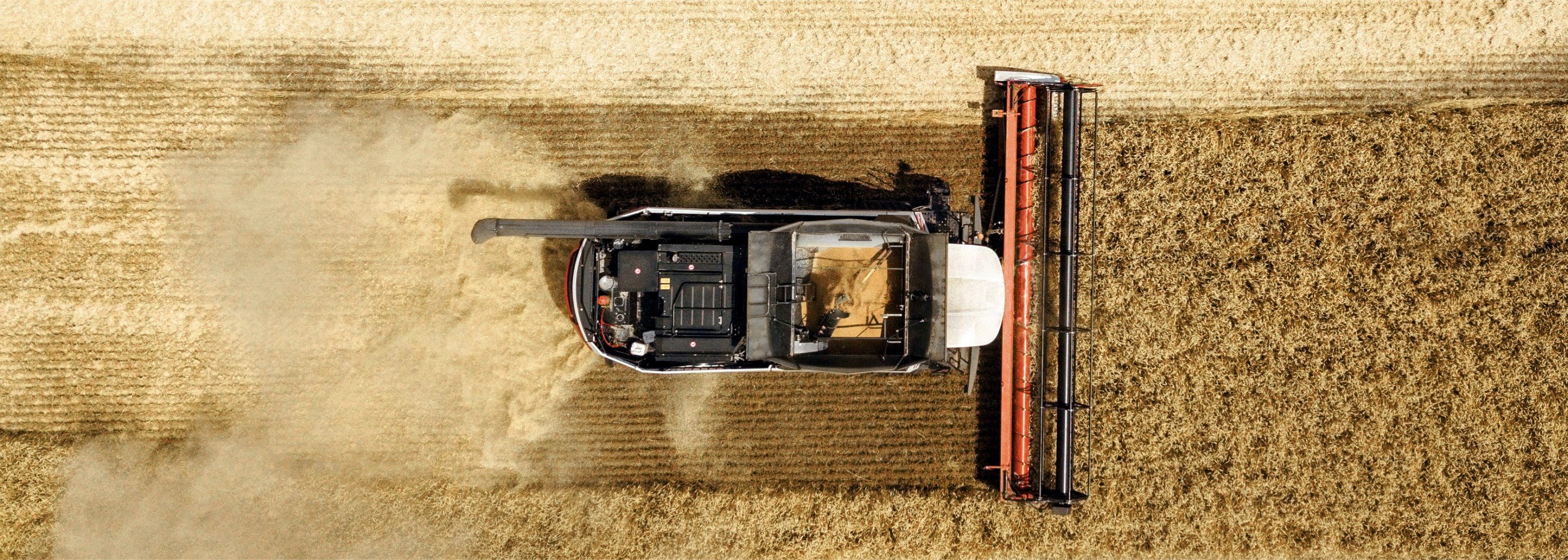 TORUM не подведет!