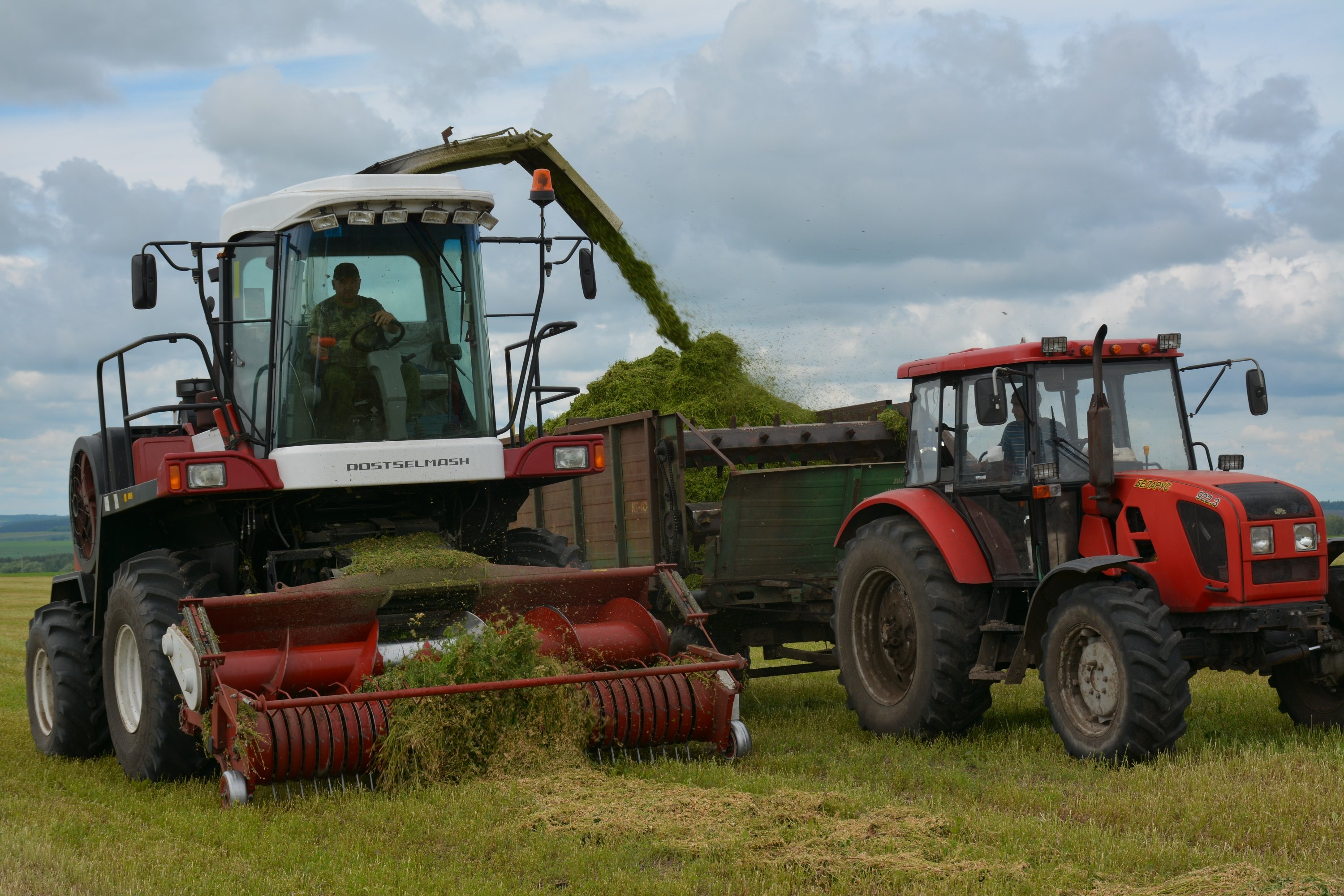 Хозяйства региона продолжают заготовку грубых и сочных кормов для сельхозживотных