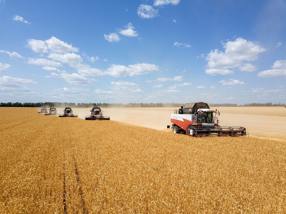 Для лучшего зерна