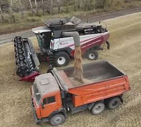 Мы механизаторы, хозяйство "Прогресс"