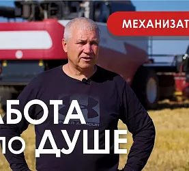 Работа по душе